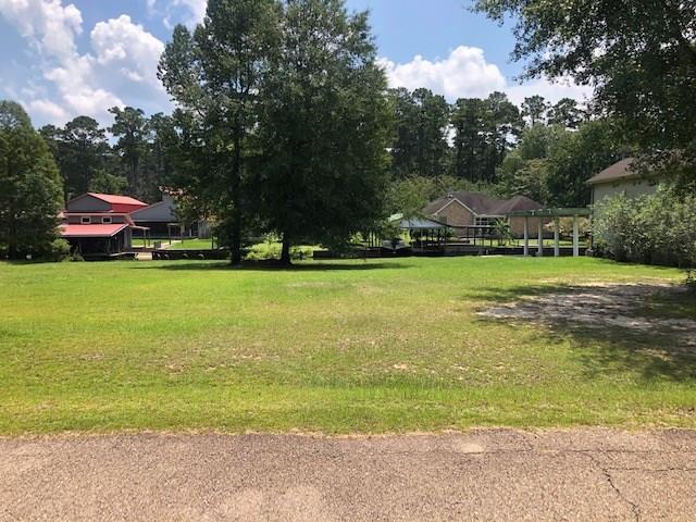 31120 Dendinger Mills Road - Photo 1