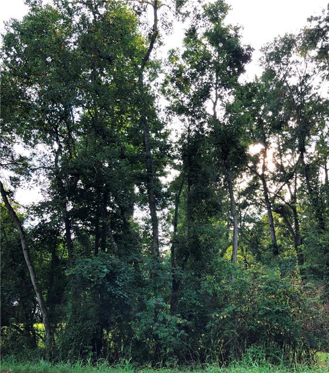 40349 Pumpkin Center Road - Photo 1