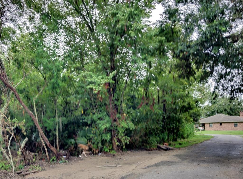 Lot 16 Camille Court - Photo 1