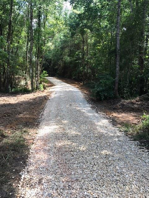 000 Cousan Road - Photo 1