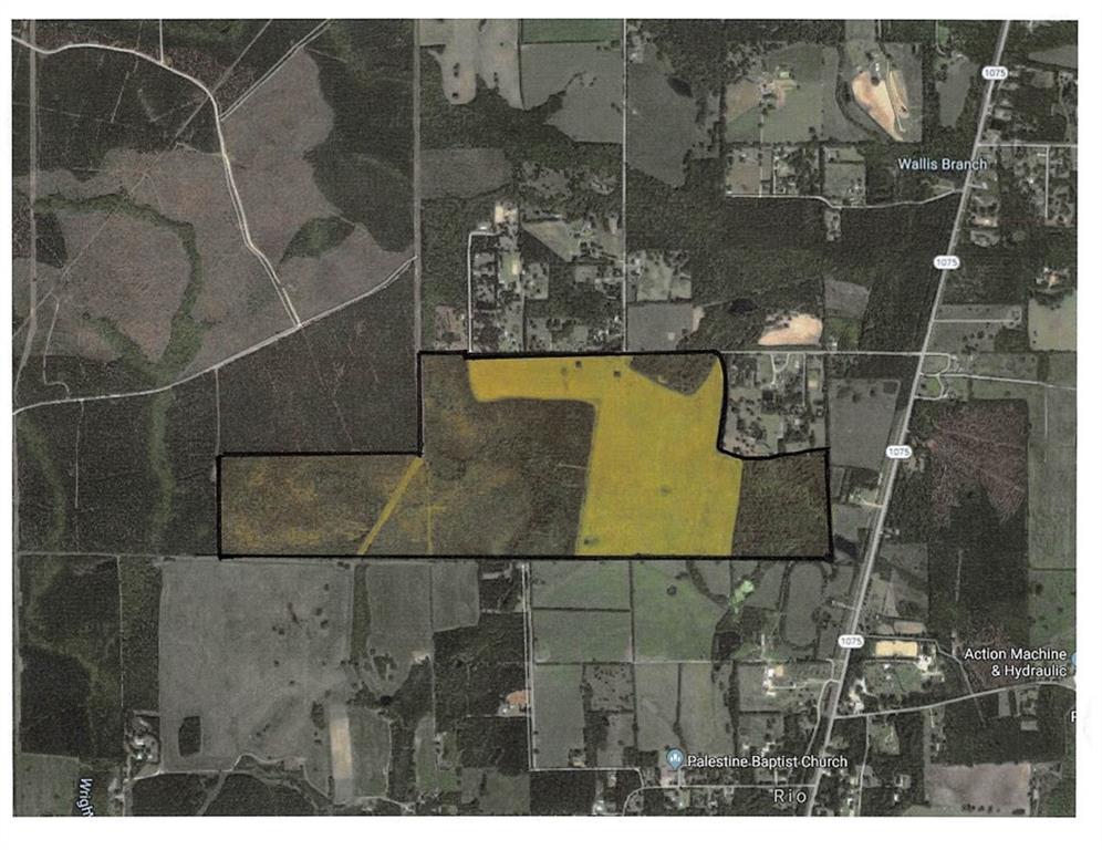 50 Acres Cooper/Hwy 1075 (Lloyd) Road - Photo 1