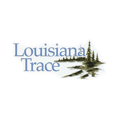 Lot 158 Red Oak Drive - Photo 1