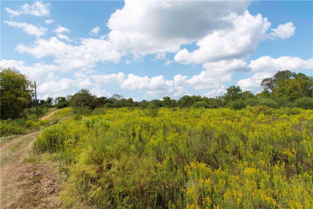 40064 Wilkes Road - Photo 1