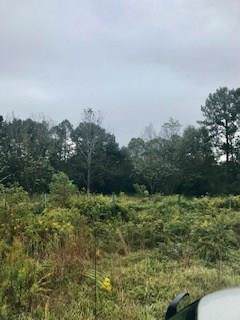 59201 Spring Valley Road - Photo 1