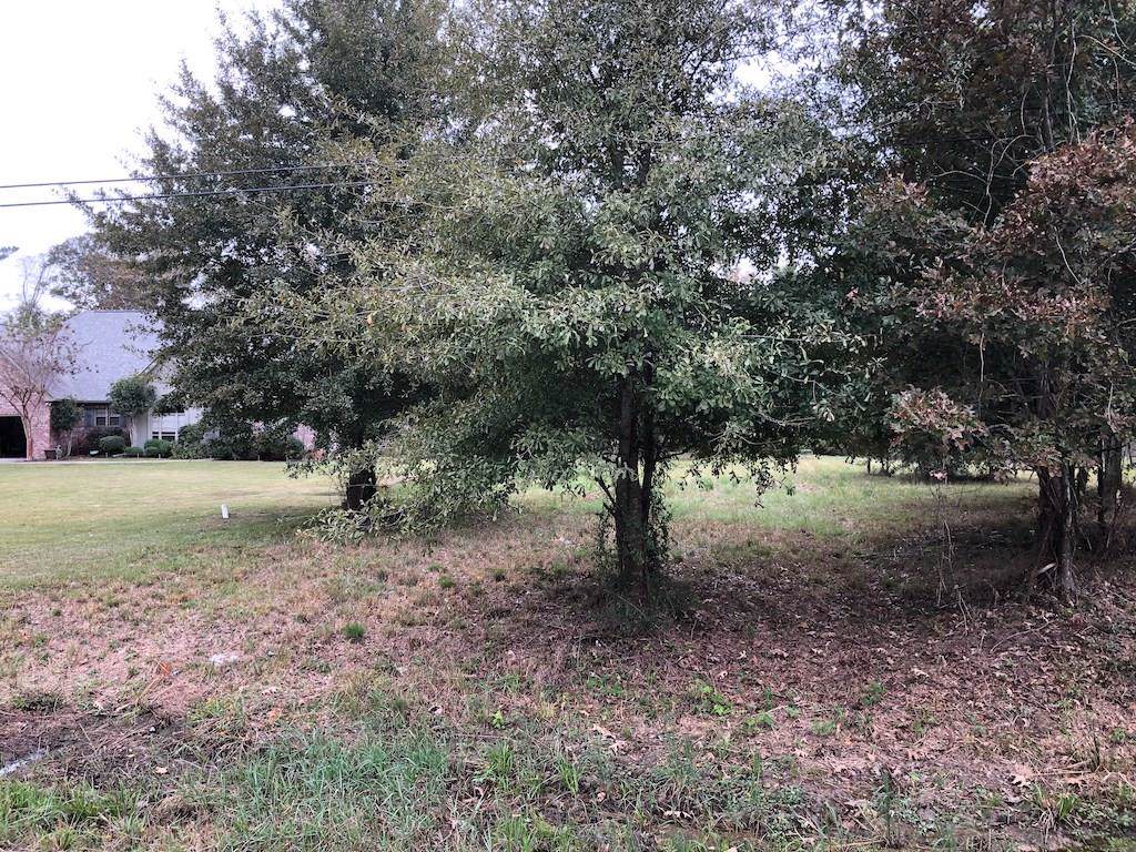 Lot 7 Highway 22 Road - Photo 1