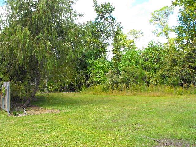 2003 Eleventh Street - Photo 1