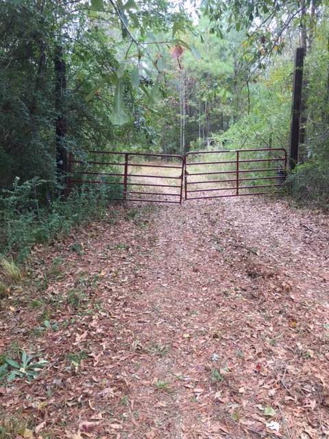 2706 Rhoner Road - Photo 1