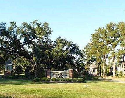 Lot 76 Black River Drive - Photo 1