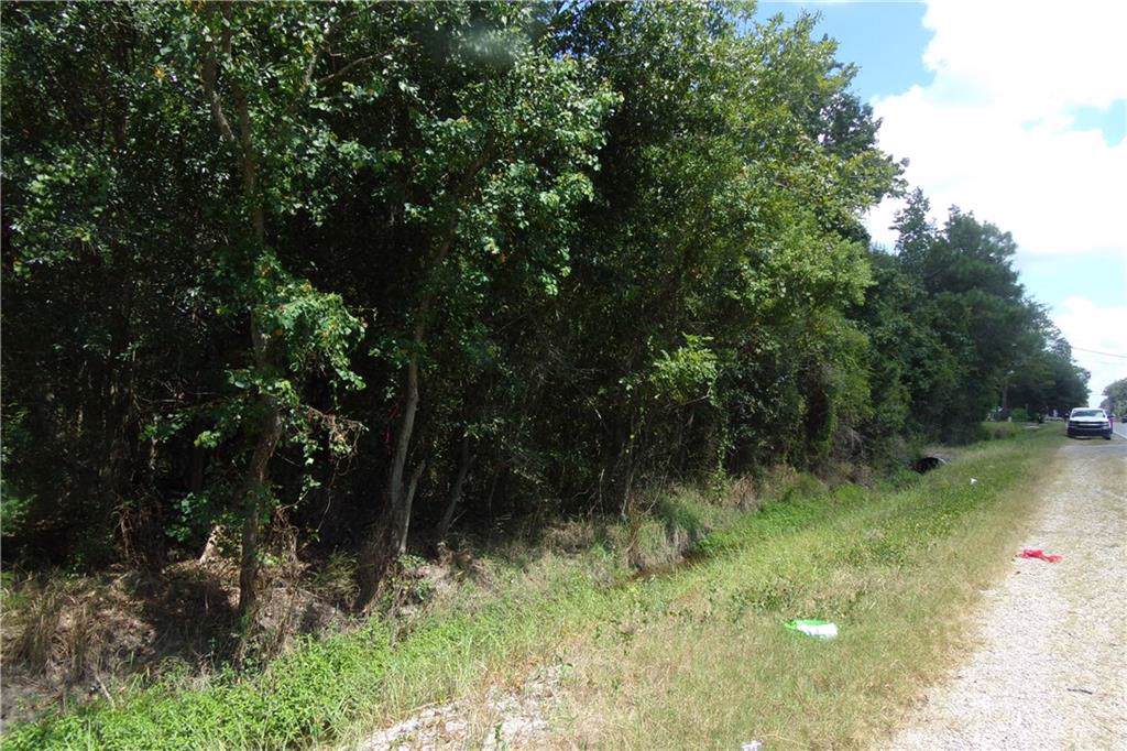 Hwy 190 Highway - Photo 1