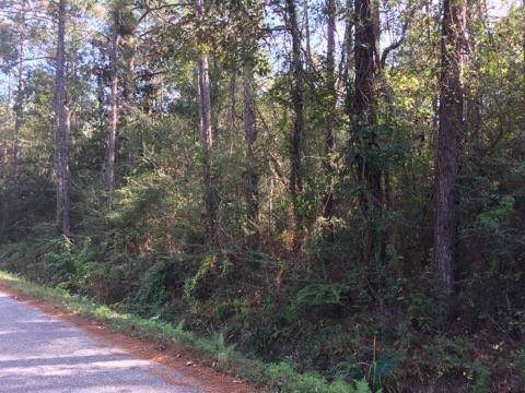 Lot 5 Durnin (Vacant Land) Drive - Photo 1
