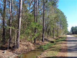 LOT 4 White Tail Drive - Photo 1