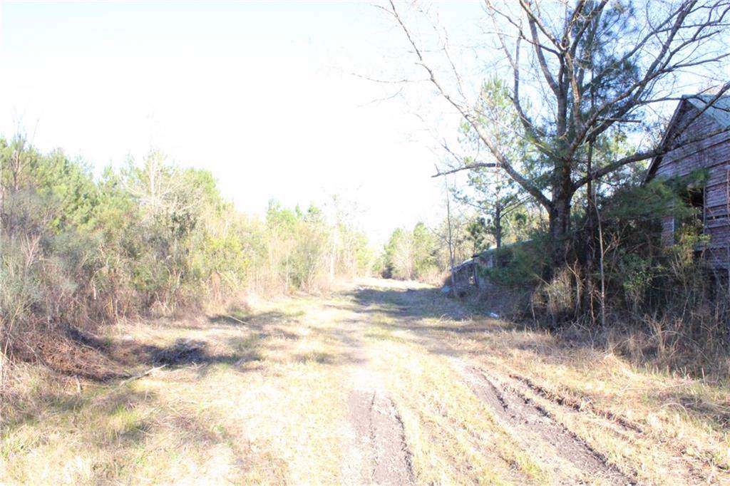 62516 Fish Hatchery Road - Photo 1
