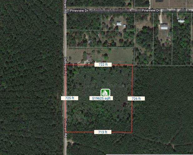 Sullivant Road - Photo 1
