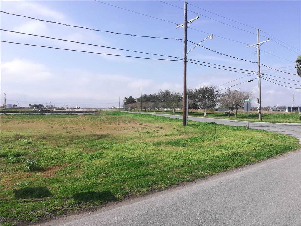 Myrtle Grove Road - Photo 1