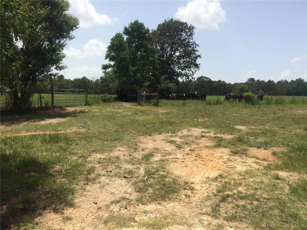 21240 Schenks Road - Photo 1
