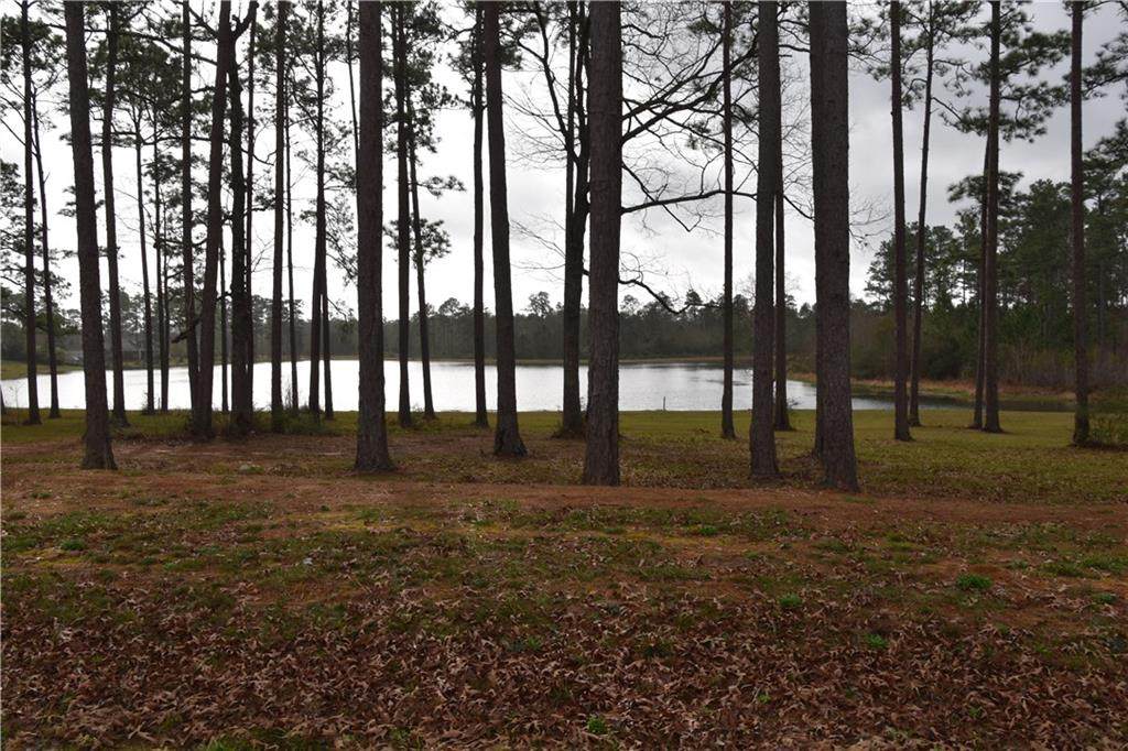 Lot 410 Hidden Lake Loop - Photo 1 Lot 410 Hidden Lake Loop - Photo 1