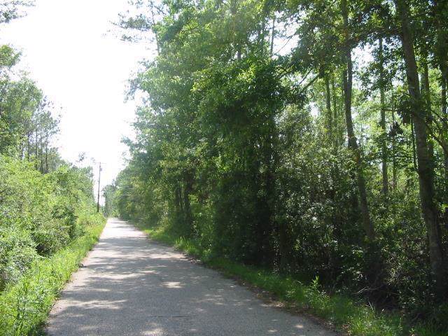 Lot 1 Isaac Road - Photo 1