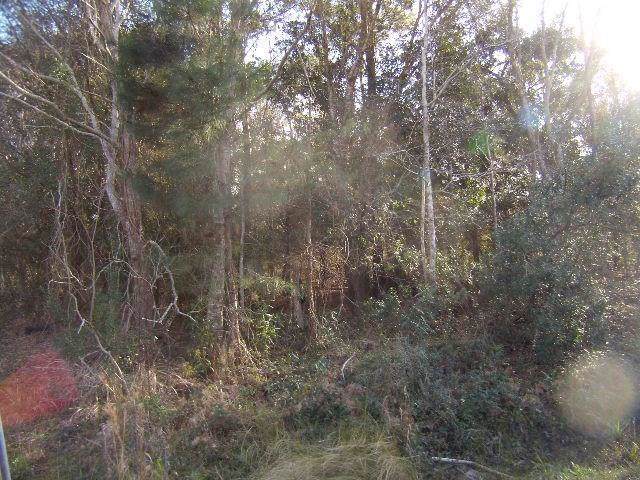 Lynn Drive - Photo 1