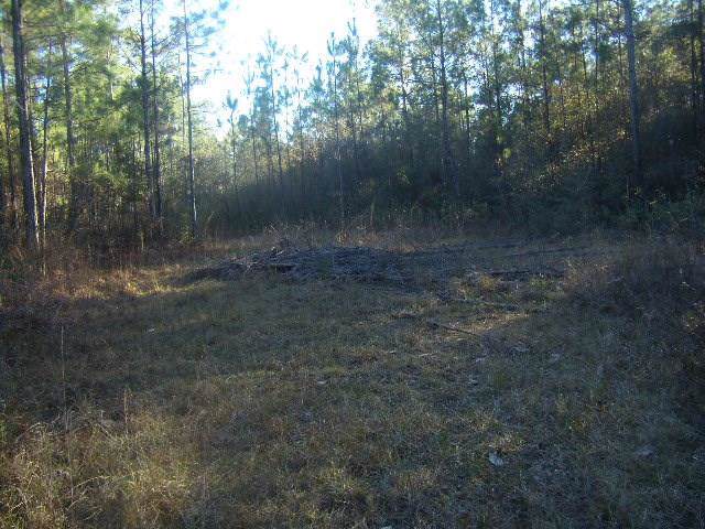 Shannon Drive - Photo 1