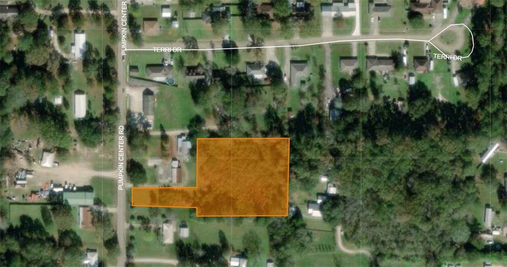 Pumpkin Center Road - Photo 1