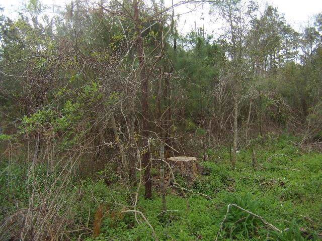 0 Chene Drive - Photo 1