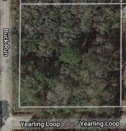 300 Yearling Loop - Photo 1