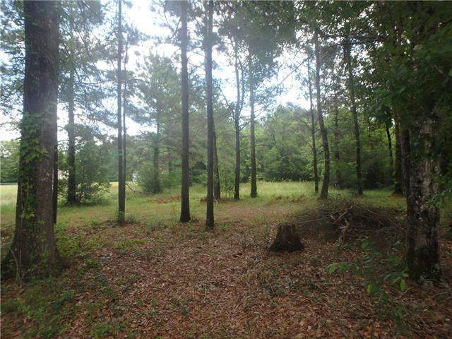 21324 Old Covington Highway - Photo 1 21324 Old Covington Highway - Photo 1