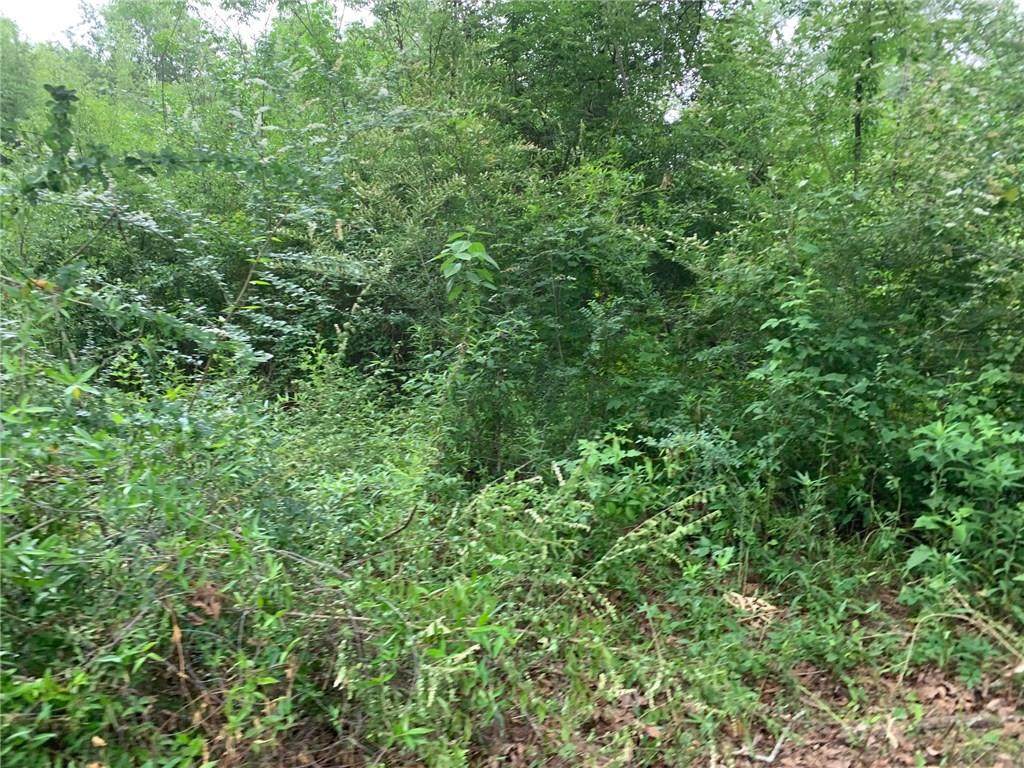 0.598 ACRES West Street - Photo 1 0.598 ACRES West Street - Photo 1
