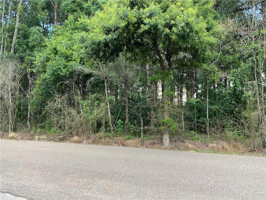 Lot 7-A Coates Road - Photo 1