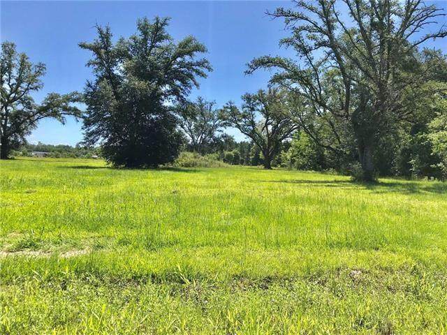 31894 William White Road - Photo 1