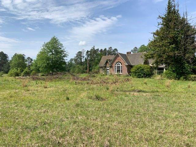 52069 Highway 51 - Photo 1