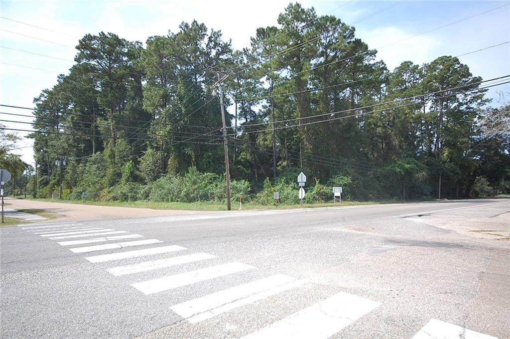 27552 Hwy 190 Highway - Photo 1