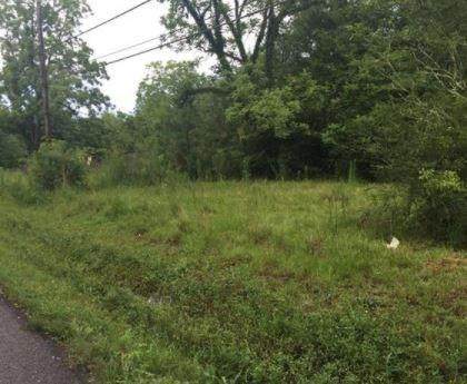 49315 Hwy 51 Highway - Photo 1