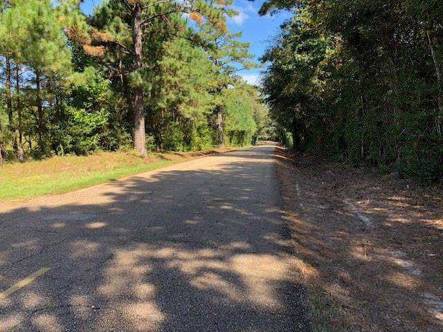 0000 Hwy 10 Highway - Photo 1