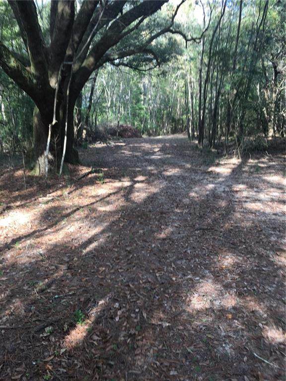 Catfish Farm Road - Photo 1