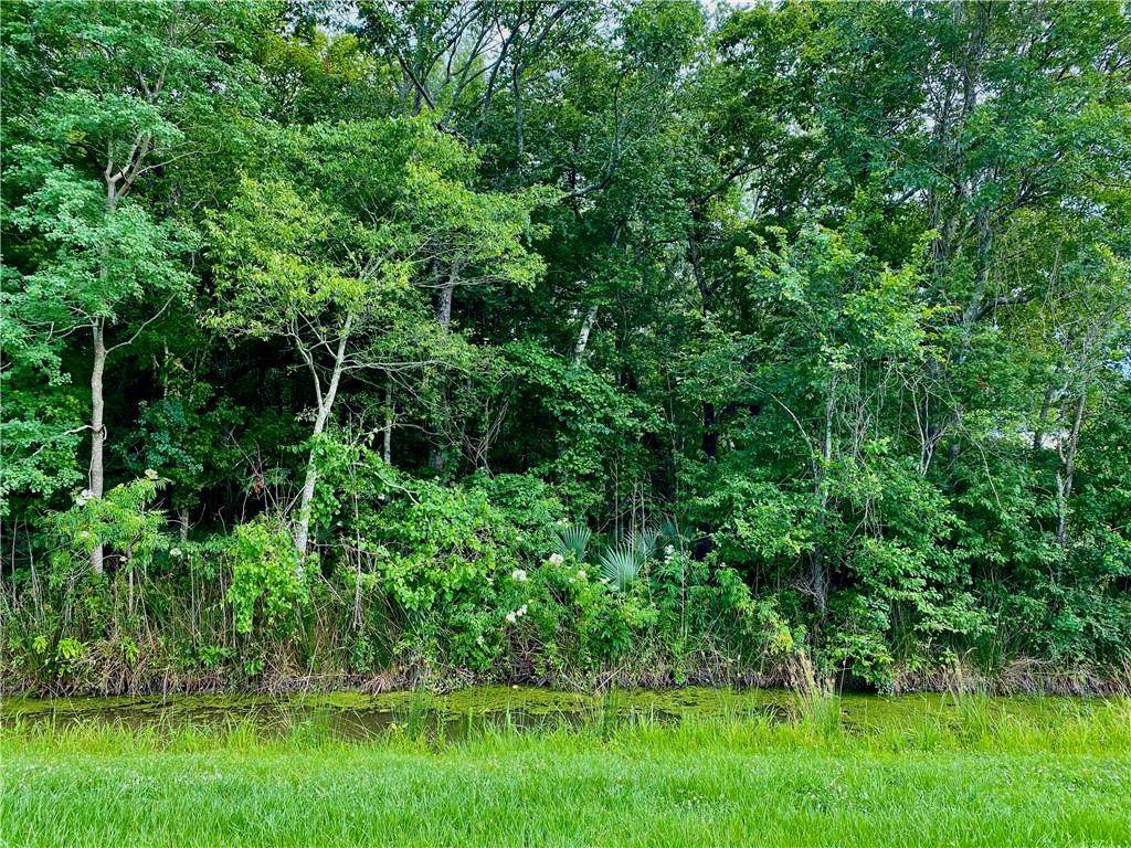 TBD Hwy 46 & Bayou Road - Photo 1