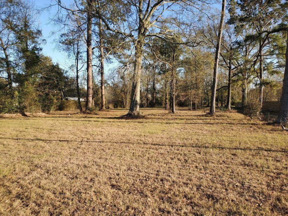 2475 Old Baton Rouge Highway - Photo 1