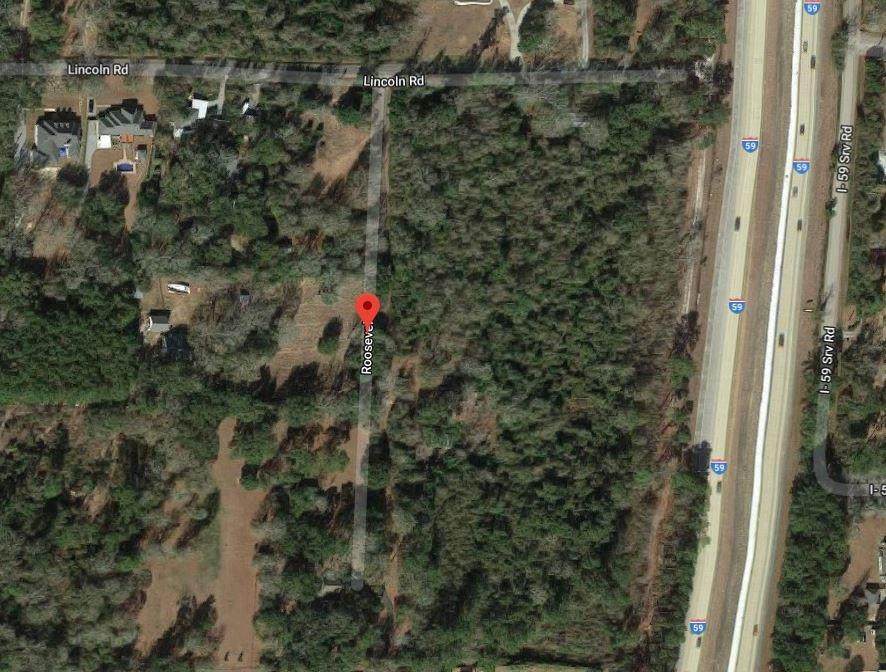 Roosevelt Road - Photo 1
