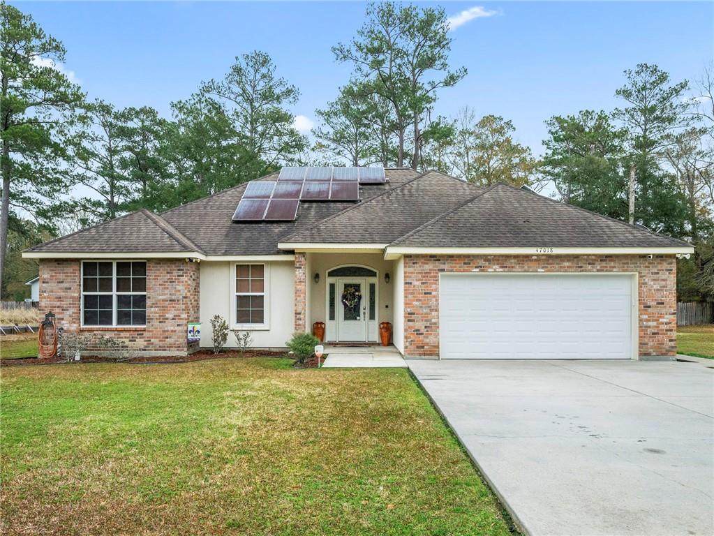 47018 Nekia Street - Photo 1