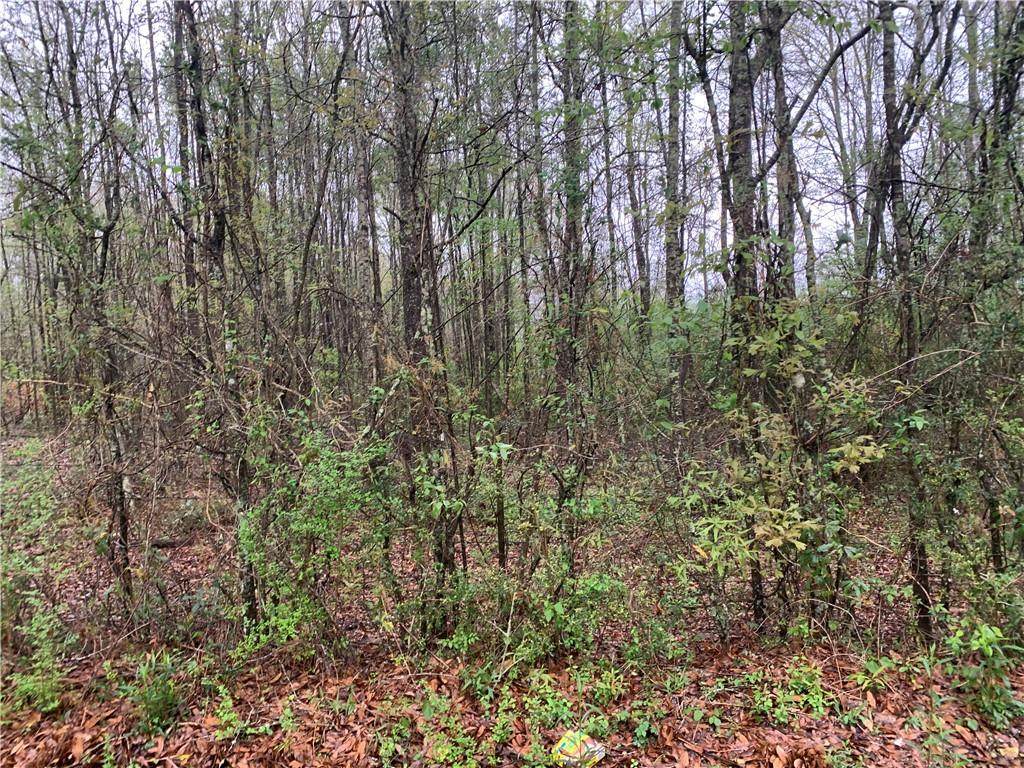 Lot 2 Woodrow Magee Road - Photo 1