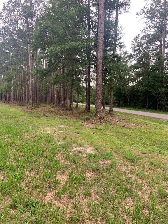 69040 Jeffrie Street - Photo 1