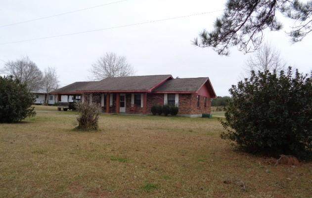 43314 Willie Youngblood Road - Photo 1