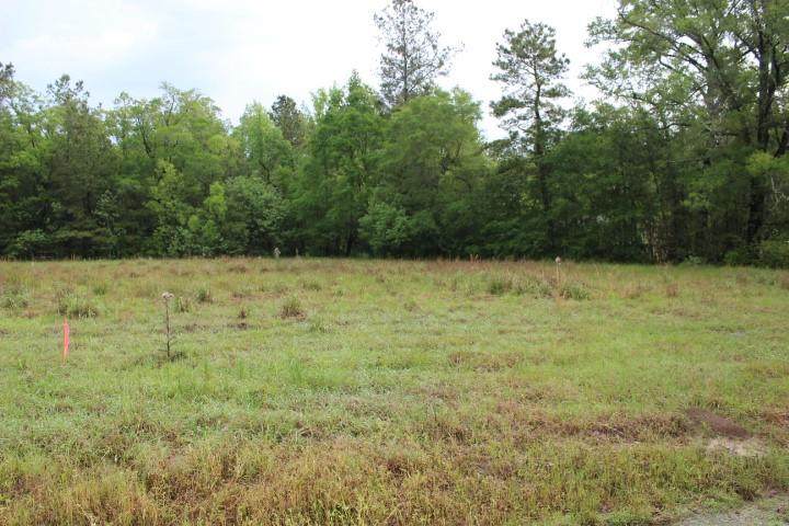Lot 1 Purvis Road - Photo 1