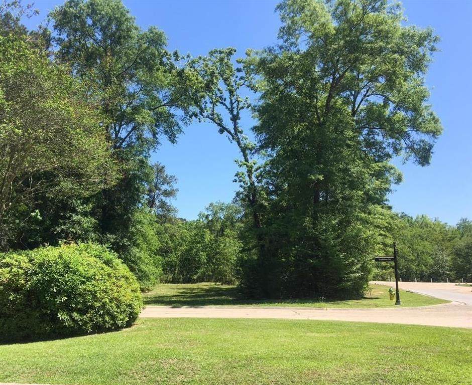 175 River Oaks Drive - Photo 1