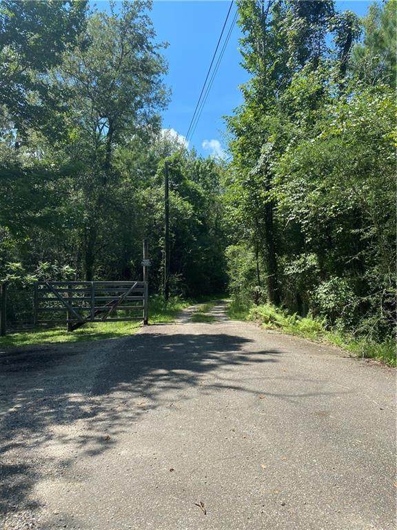 63545 Cobb Hammock Road - Photo 1