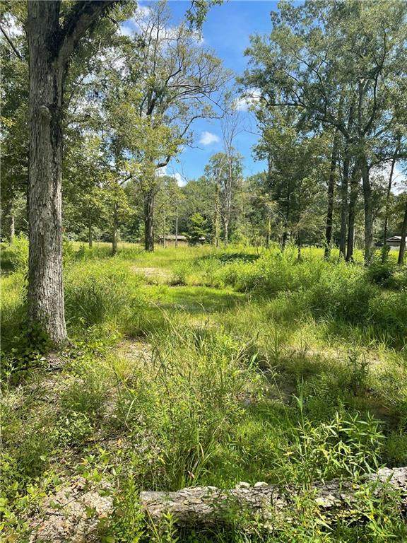 20089 Weinberger Road - Photo 1