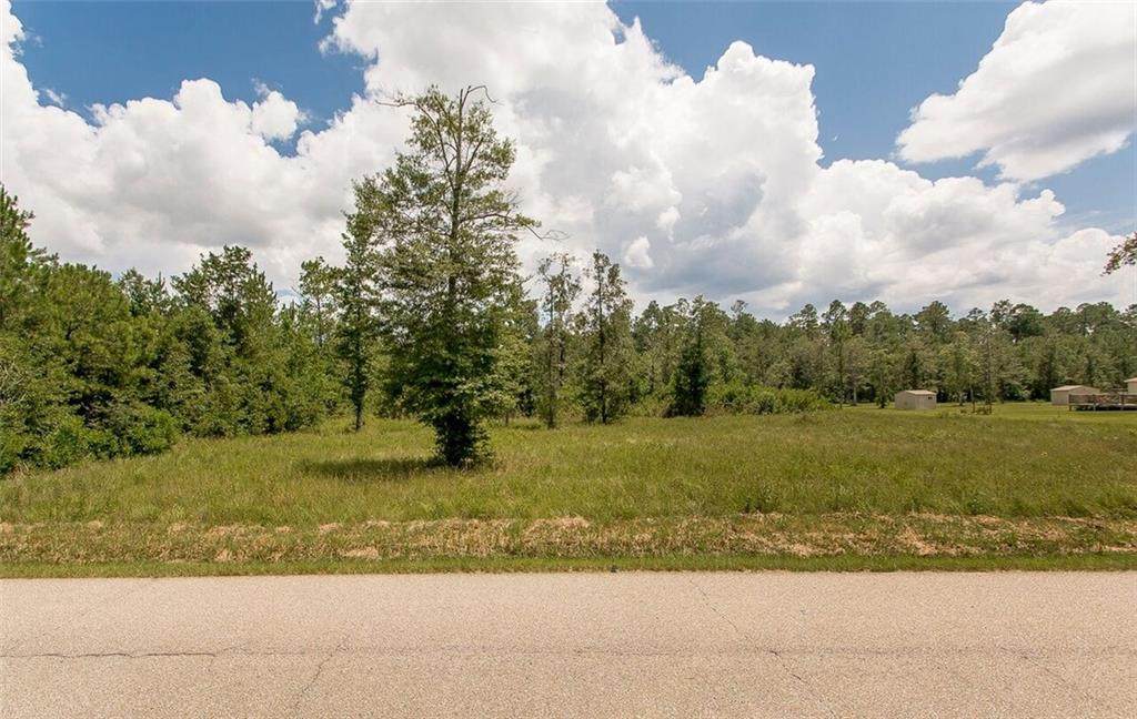 lot Lowe Davis Road - Photo 1