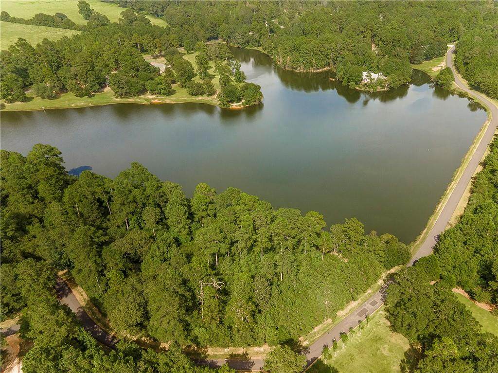Lot 124 Lake Choctaw Drive - Photo 1