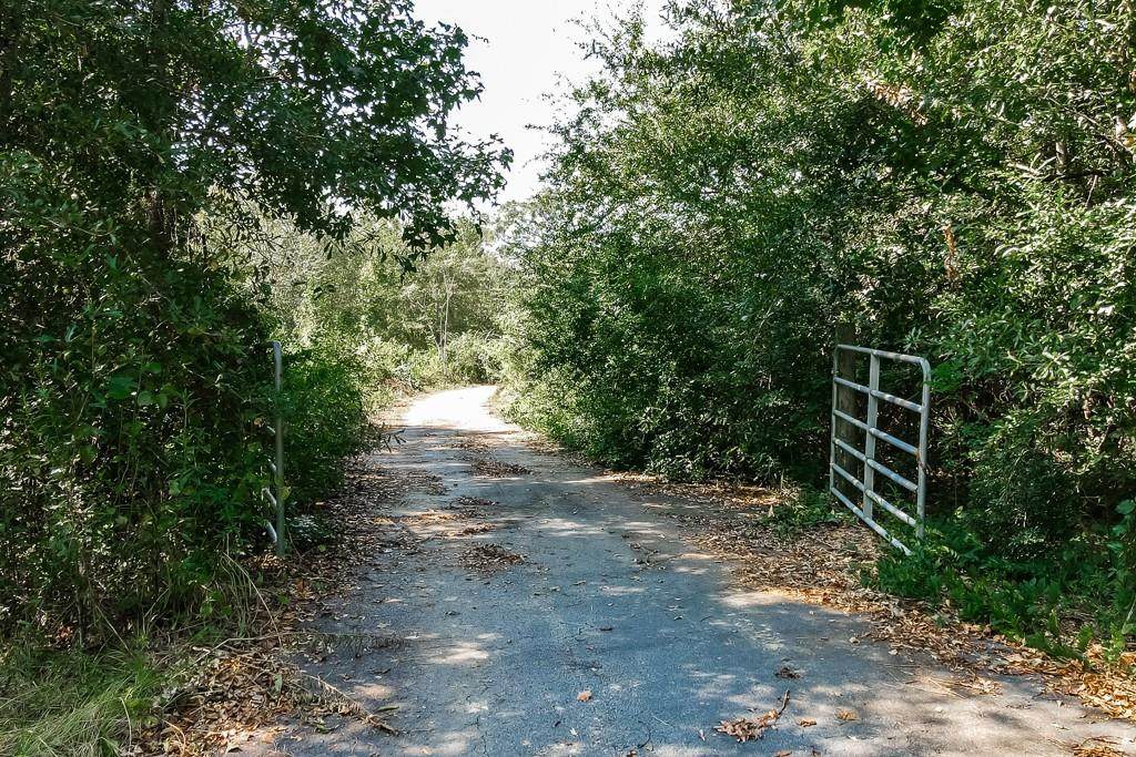69319 Olon Bankston Road - Photo 1
