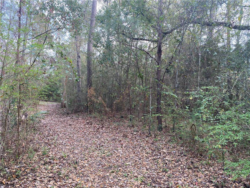 142 Chamale Drive - Photo 1